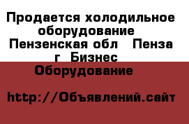 Продается холодильное оборудование - Пензенская обл., Пенза г. Бизнес » Оборудование   